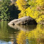 Central Park, Fall, lake
