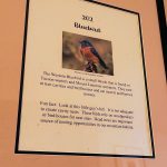 Bluebird Room description Mt. Lemmon Lodge