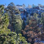 Mountain, houses, pine trees